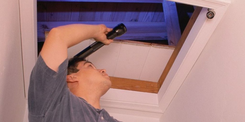 LoftForce tweet picture