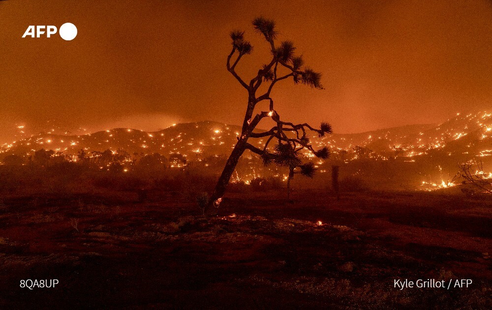 As wildfires continue to spread in the western US, so do false claims and misleading photos on social media. Here’s a thread to help you separate truth from fiction :