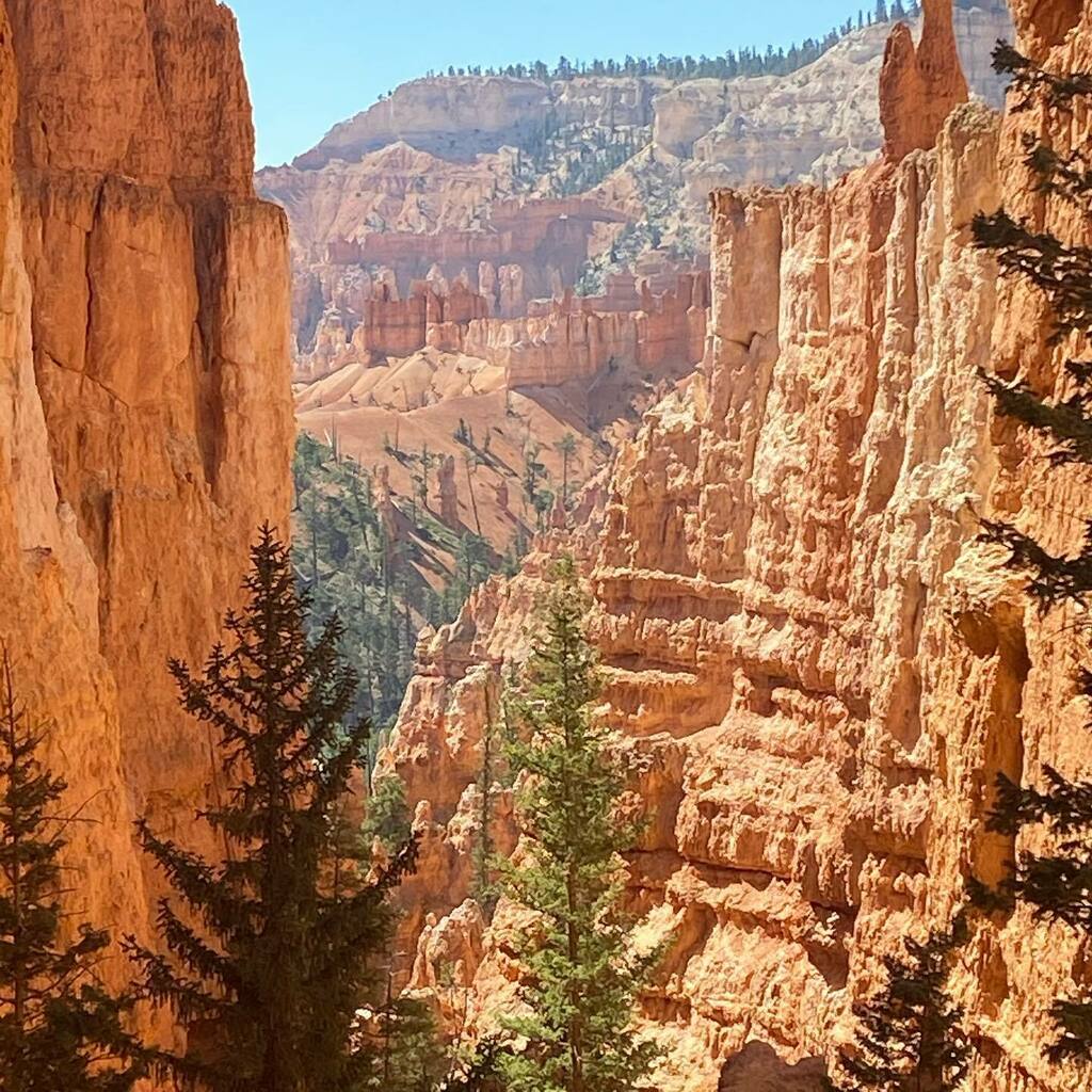 discoveringgem's tweet photo. Road Trip Day 3 blog post is up featuring @brycecanyonnps_gov and @capitolreefnps #linkinbio

#roadtrip #nationalparks #utah #brycecanyon #navajoloop #queensgarden #thorshammer #capitolreef #petroglyphs #capitoldome #pie https://t.co/bSuwNmIXdw https://t.co/jK10WgW2EE