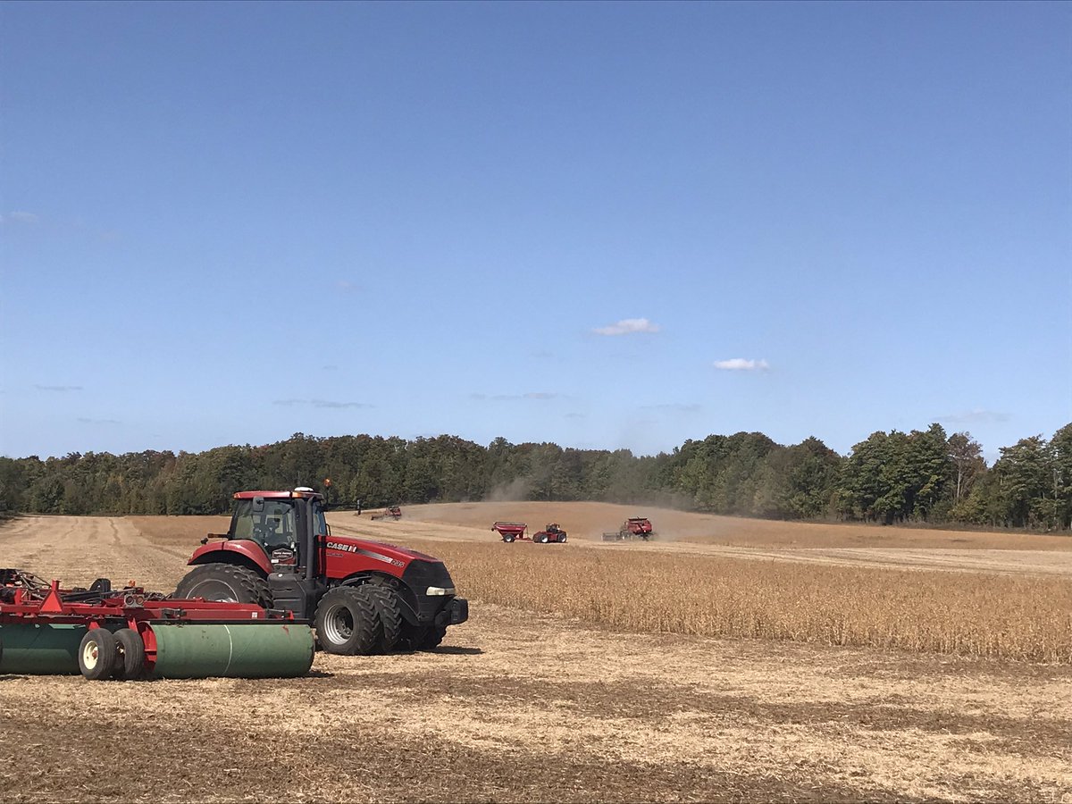 Everyone gets to play together today.  <a href="/HuronComm/">Huron Commodities</a> Shinju coming off and <a href="/PioneerSeedsCA/">Pioneer Seeds Canada</a> wheat going in. #caseih #macdon #demco