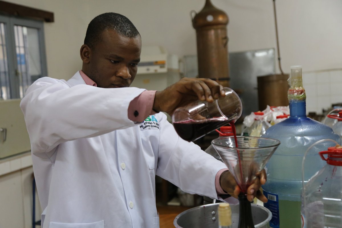 Maribel Ibule Djole tweet media