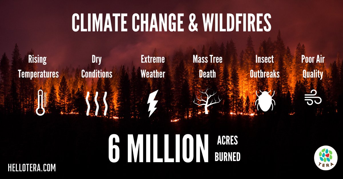 hello_tera's tweet photo. #TeraLearn The effects of climate change are real and they are only going to make the wildfires experienced on the West Coast worse. How has your community been affected by climate change?
https://t.co/nalNYZOnWl
#tera #hellotera #climatechange #climatecrisis #wildfire https://t.co/rgfPseTi6A