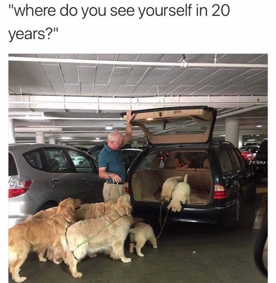 OfficialPLT's tweet photo. Accurate 🐕🐶 https://t.co/JVPYXtd51l