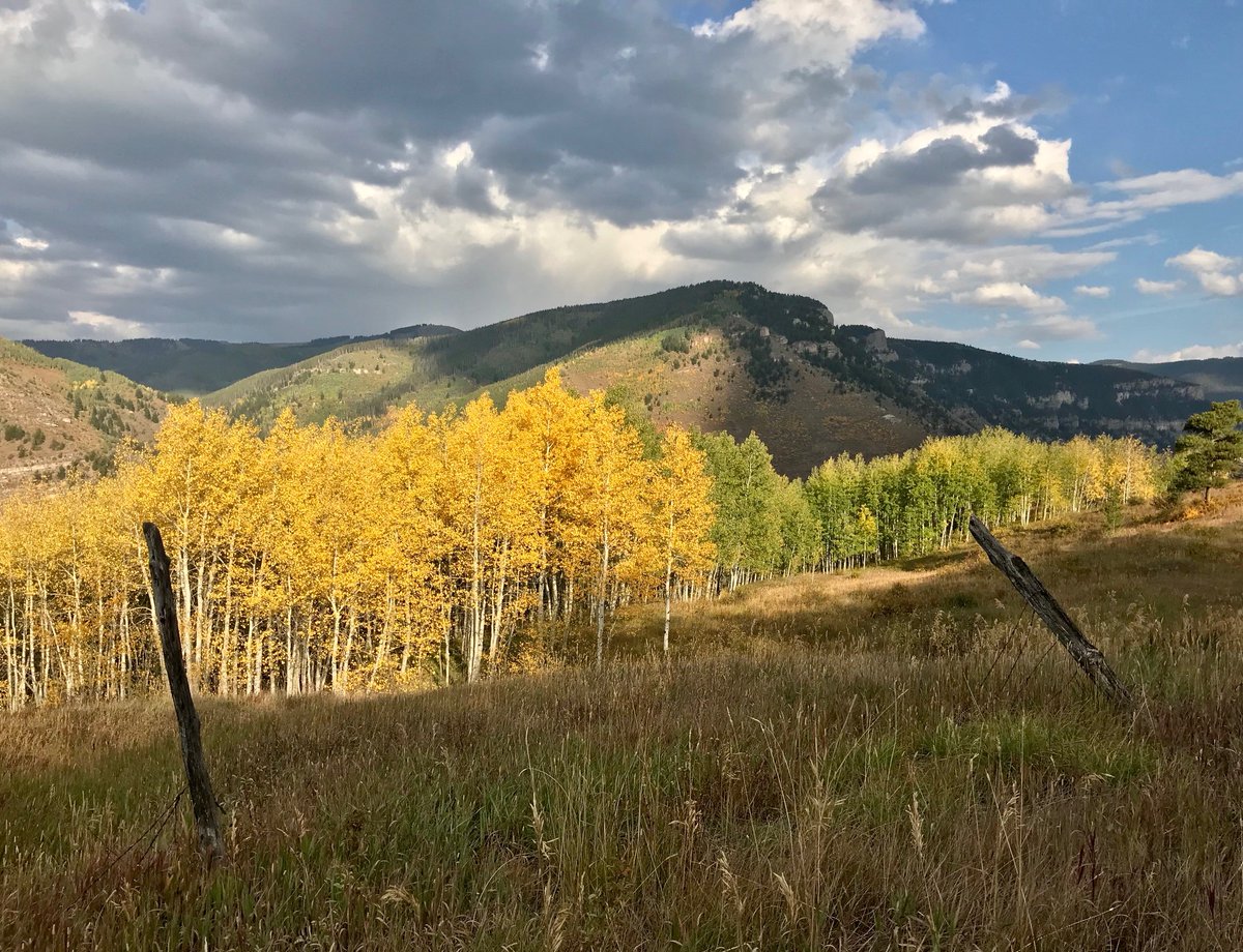 VailLodging's tweet photo. Beautiful hike through the aspens this weekend. Looks like peak is coming soon...#Vail #fallcolors https://t.co/qPEQfTmLCq