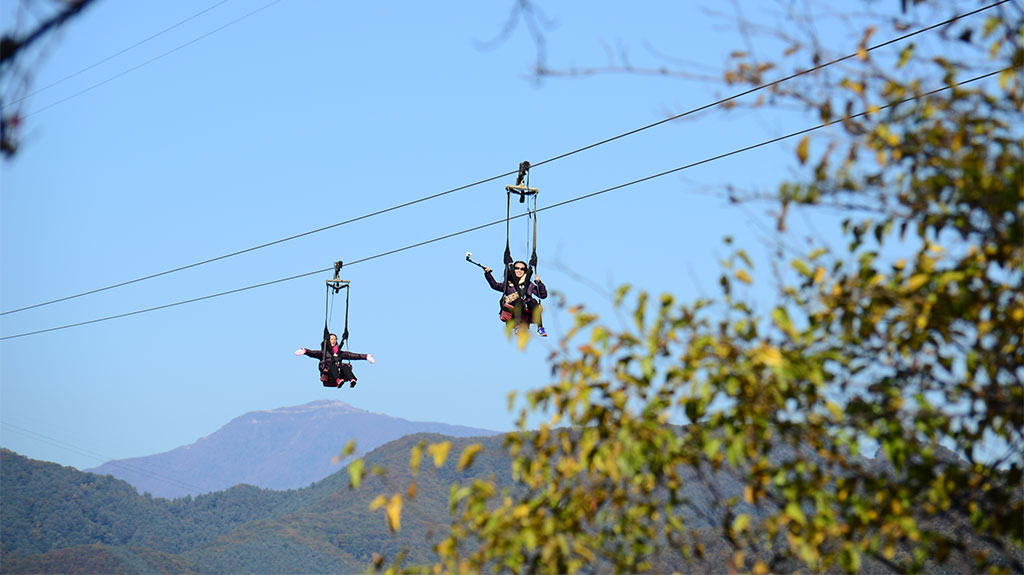 bit.ly/2ZVmmZ8
남이섬의가을 #남이섬