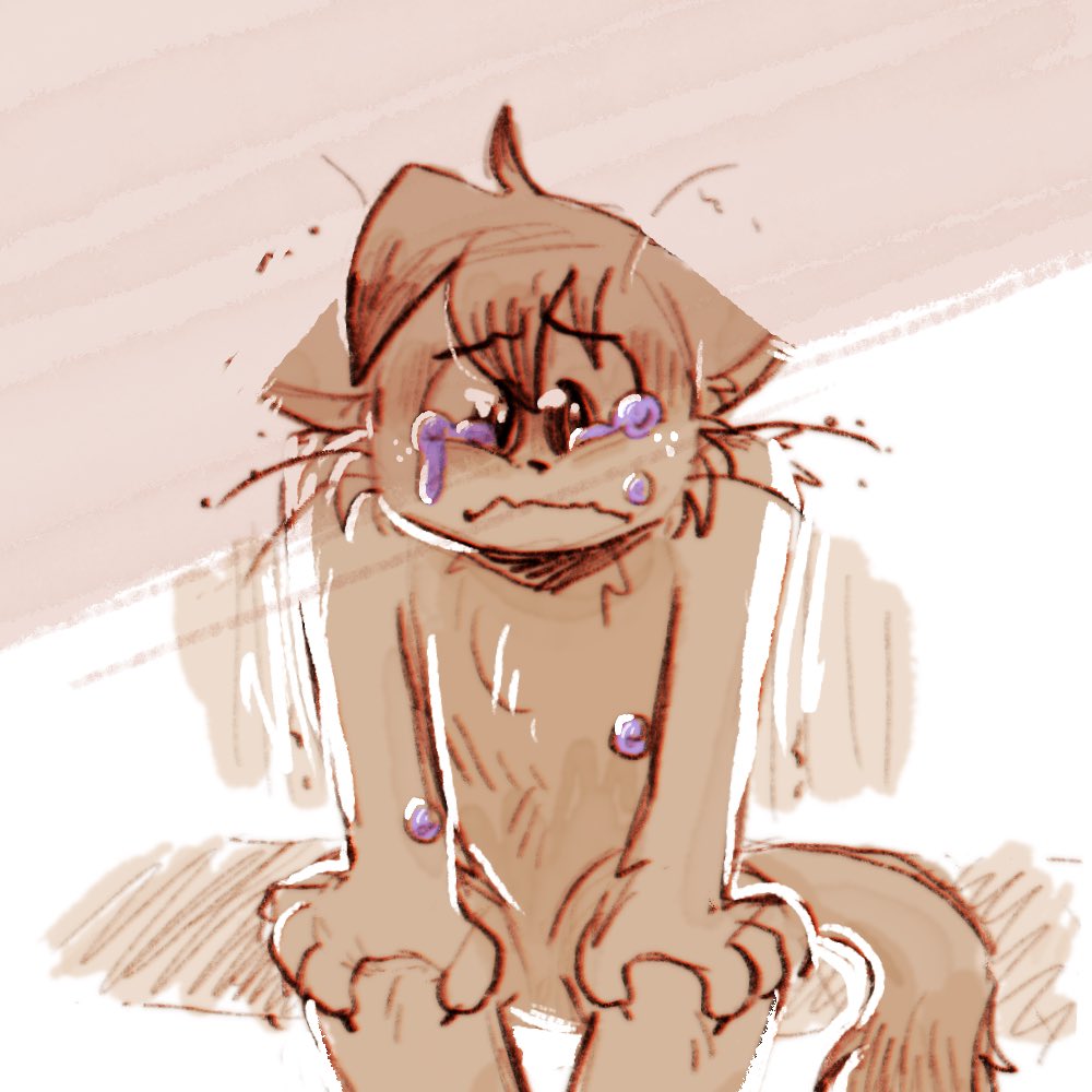 my cat son had a breakdown in drama cats comic 👏🥺
