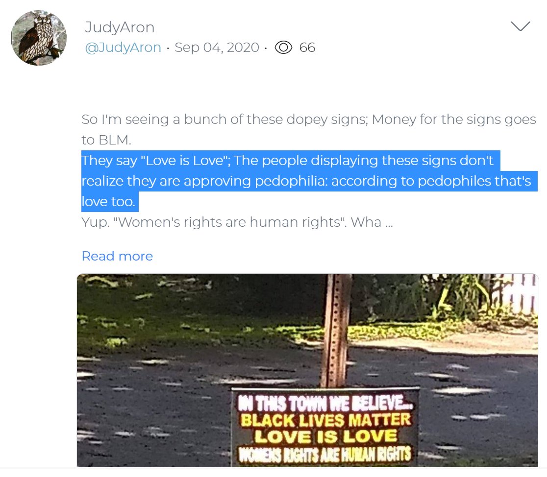Some of these GOP  #NHHouse candidates sound a little extreme."So I'm seeing a bunch of these dopey signs; Money for the signs goes to BLM. They say 'Love is Love'; The people displaying these signs don't realize they are approving pedophilia…" - Rep. Judy Aron (R-Acworth)