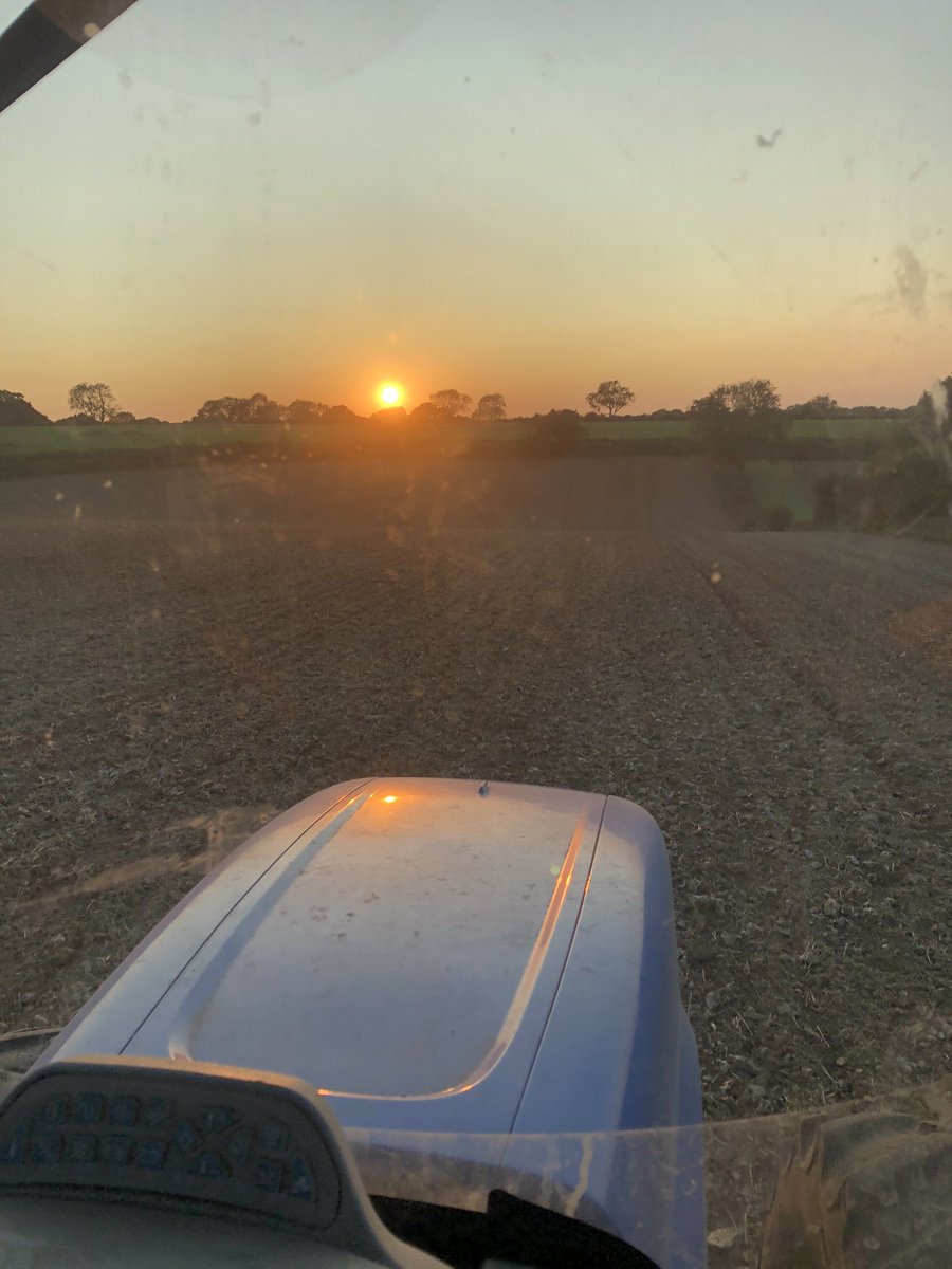 nickpeters1989's tweet photo. Playtime after work, helping the olโ chap get the jobs done #zyatt #wheat๐พ #goinggoinggone... โ๏ธ#sunset #dust #bringonsomerain #please https://t.co/g4PzArqbC9