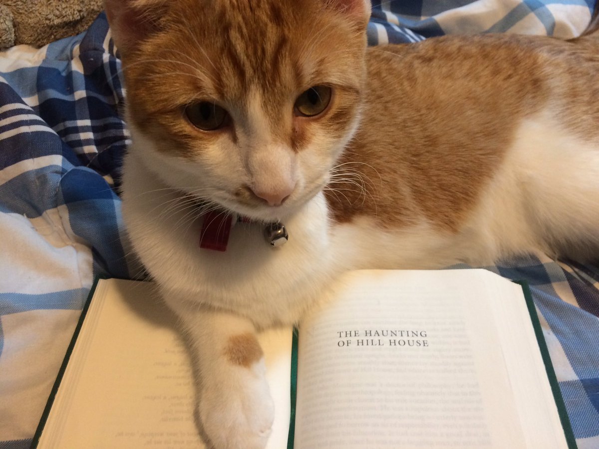 KHC_BookClub's tweet photo. #KillerBookClub! The October book is decided! Get ready to explore the shadowy corners of Shirley Jacksonβs The Haunting of Hill House. Re-told again and again via film and Netflix, but do any of these versions compare to the ghostly original? Find out next month! https://t.co/P2gywUgJSA