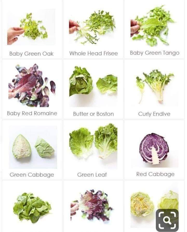 ELIASFOOD_LTD's tweet image. #culinaryknowledge #chefslife #eliasfoodtraining #organic #yourchoice #youngambassador #eliasfoodtraining #allinstoreorganic #cookingonthebeach #aroundtheworld #arabiattapenne