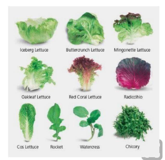 ELIASFOOD_LTD's tweet image. #culinaryknowledge #chefslife #eliasfoodtraining #organic #yourchoice #youngambassador #eliasfoodtraining #allinstoreorganic #cookingonthebeach #aroundtheworld #arabiattapenne