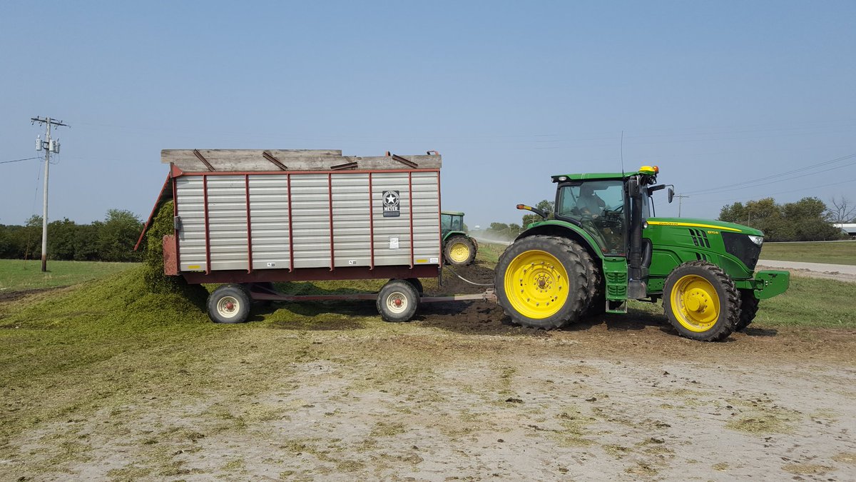 Patmos_Sphere's tweet photo. Sorghum harvest 2020 part 2 at the ISU SABR farm with @ISUBiomass! Couldnt be a better day. #cabbi #bioenergy https://t.co/LUi9fQVWP8