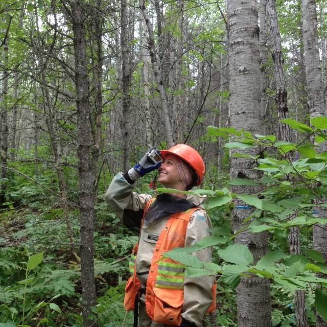 ONresources's tweet image. It’s National Forest Week! DYK? MNRF’s forest researchers work to better understand how forests and watersheds are affected by disturbances, both natural and human-caused. This work supports sustainable forest management. Learn more at ontario.ca/page/forest-re…. #MNRFScience