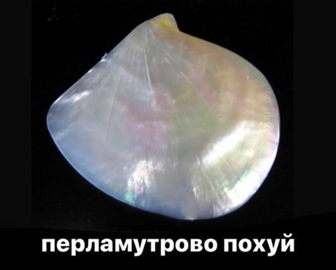 haredgehog's tweet photo. тред для всех кто также как и я не могли собрать все эти мемы вместе!!

будет дополняться если пришлёте что я не нашла всем чмоки https://t.co/xbW2h4gwvB