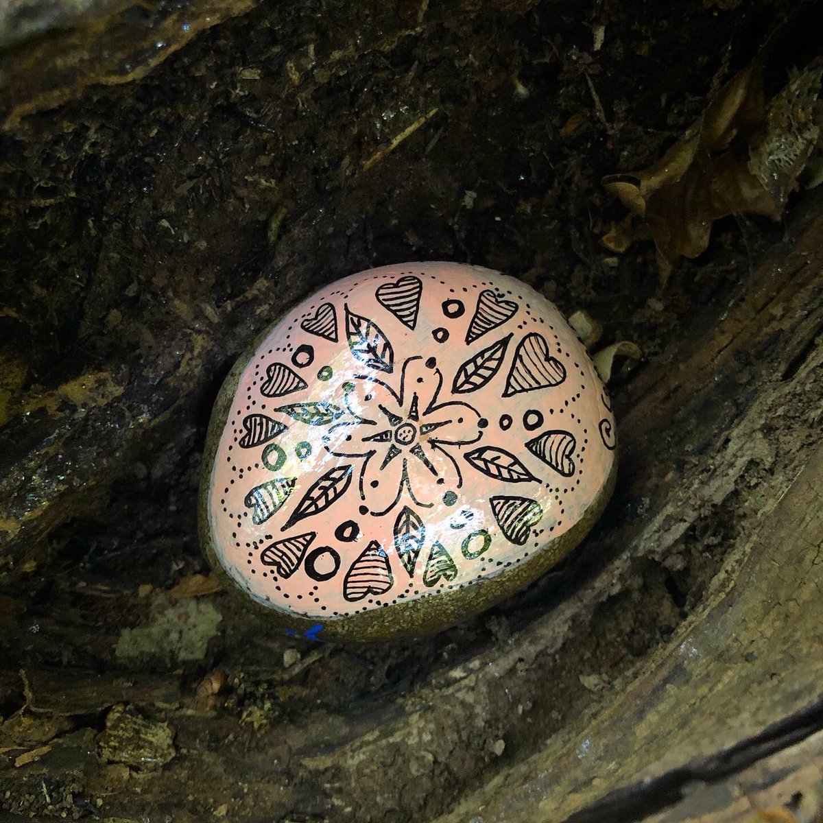 CompassionateRo's tweet image. You can always be there for you 💙

This little knot in a fallen tree was a perfect temporary home for a stone.

#pebbleswithpurpose #compassionaterocks #compassionrocks #KindnessMatters #selfcare #selfcompassion #paintedrocks #365daysofcompassion #kindnessrocks