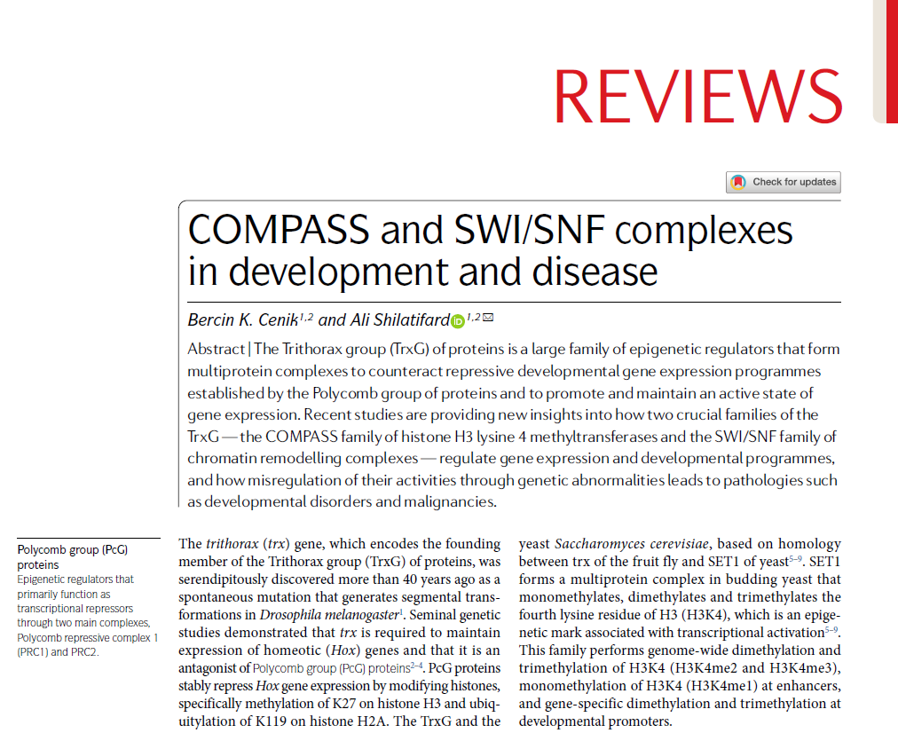 NatureRevGenet's tweet photo. COMPASS and SWI/SNF complexes in development and disease https://t.co/EvgPBkn7dw #Review by 
Bercin K. Cenik &amp; Ali Shilatifard #Trithorax #TrxG https://t.co/E4c9lPsNRS