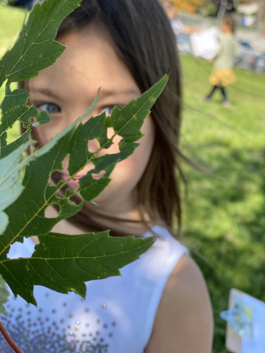 KindredKulture's tweet photo. ๐ณ๐๐ Outdoor Exploration ๐๐๐ณ How many circles can you find in the trees? How did they get there? @McLennan1977 #autumnmathwalk #counting #circles #mathtalk #outdoorexploration @StFrancisLondon @LDCSB https://t.co/oZpZtQNLBl