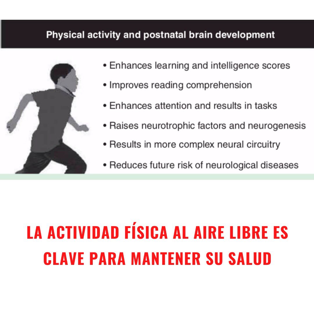 NazaCastellanos's tweet photo. Artículo científico: The impact of physical activity on brain structure and function in youth. https://t.co/XECIKSjoOS