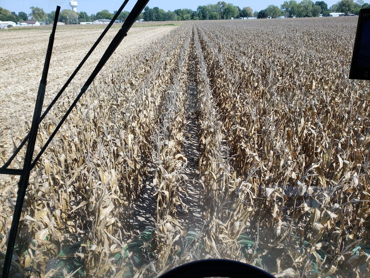 zrendel's tweet photo. Innovation at work today on Rendel Farms! We're harvesting our @Farmer_Trials @pivotbio side by side trials. 
@kheikes @kmorrow63 Data will be flowing your way very soon! https://t.co/ZB2U5vDRE5