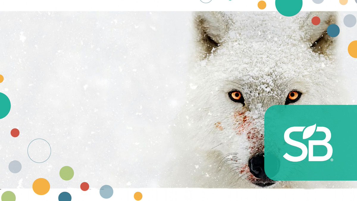 12 Amazing Documentaries on Sustainability, Regeneration That You Now Have Time to Watch buff.ly/3aEwyJ8