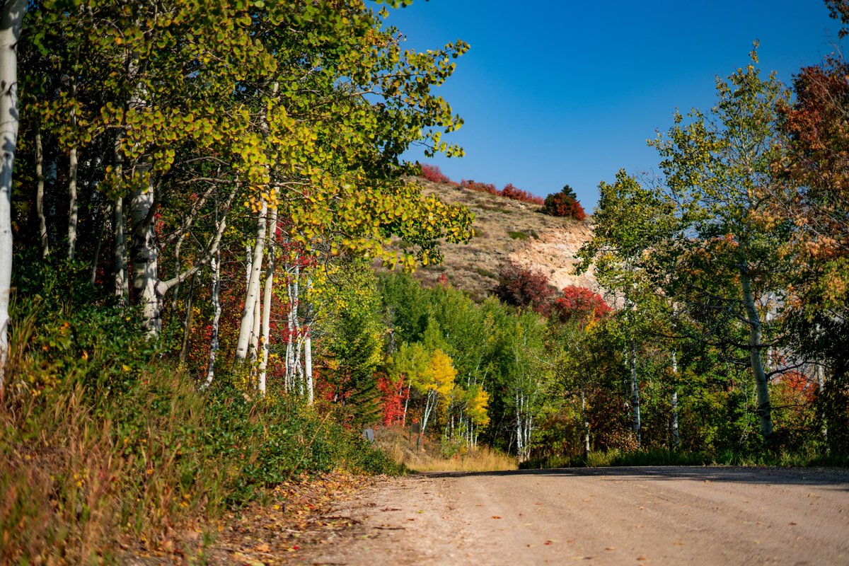 BearLakeValley's tweet photo. The 🍁fall foliage 🍁 is just beyond beautiful this year! The leaves are gorgeous hues of red and yellow. You will definitly in awe to see the beauty of the valley this time of year. https://t.co/TnA6D8uGdd