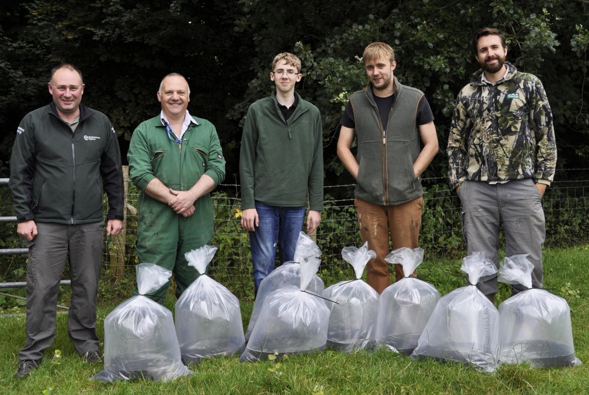 Thanks to @theyorksgent podcast I now know the Wild Carp Trust is a thing, which reminded me of the fun I had establishing a crucian carp ark site back in the day. The podcast is epic, a totally fascinating insight into wild carp in the UK. theyorkshiregent.com/podcast/060/