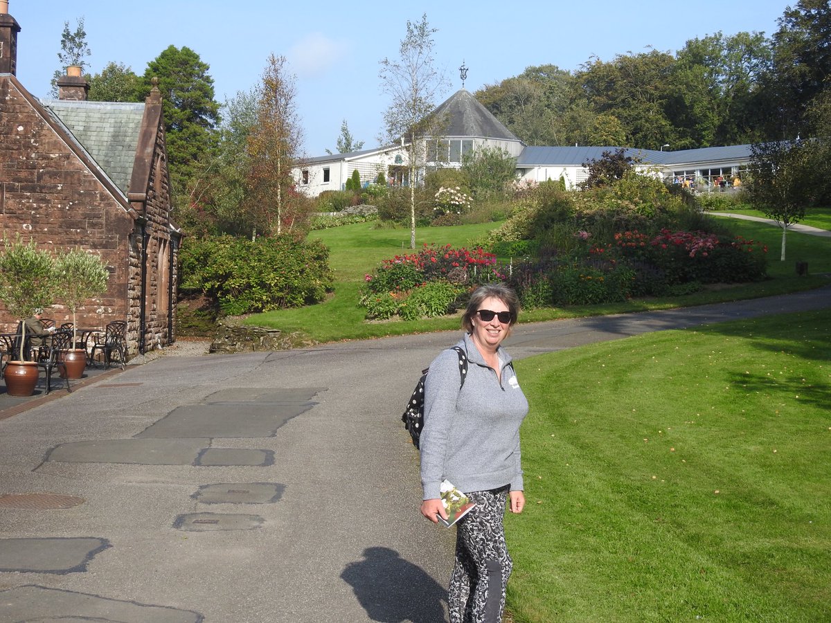 Alister McIntosh tweet media