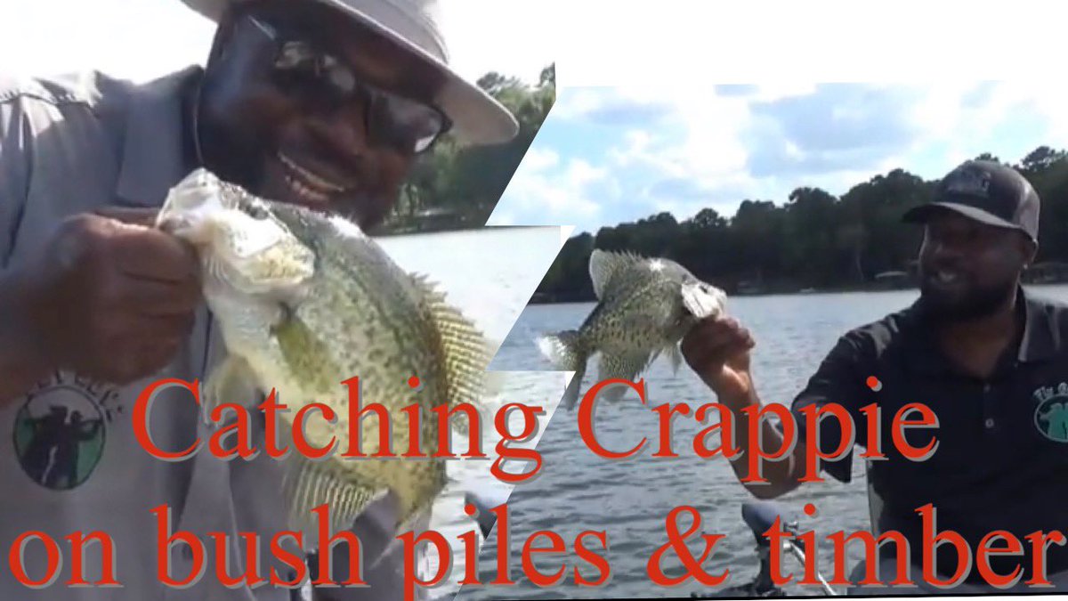 Fly Guyz tweet media