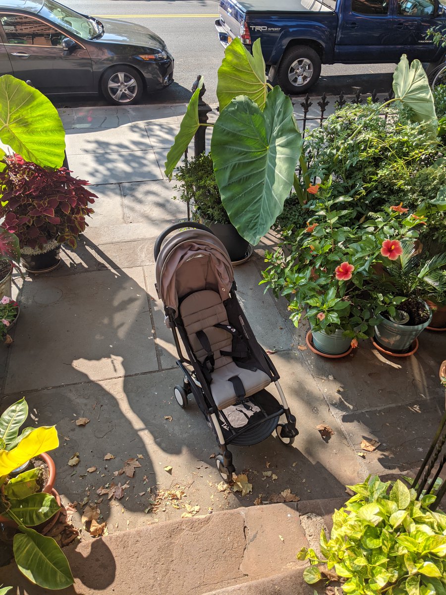 I encountered this unsettling scene right on my own doorstep. Where is the baby? Don't bother asking Di Blasio, who banned the cops from investigating baby snatching.  #AnarchistJurisdiction [2/11]