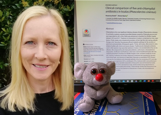  @SharonNyari and Dr Rosie Booth  @AustraliaZoo  @wildwarriors compared  #antibiotics for  #koala  #chlamydia  #doxycycline very effective treatment  @PLOSONE  @science_koala  https://journals.plos.org/plosone/article?id=10.1371/journal.pone.0236758