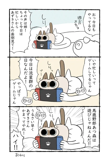 あつ森は遊びじゃないんだ! 