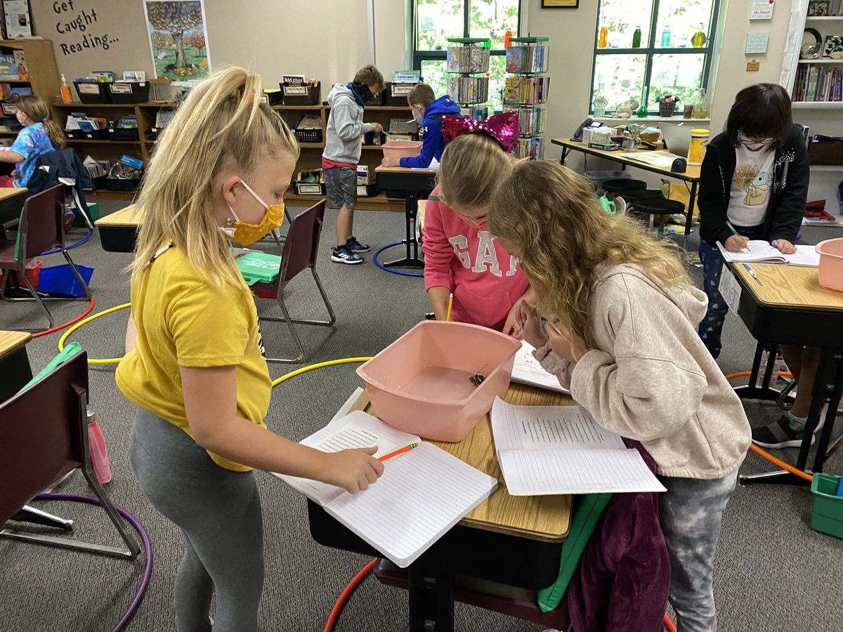 Investigating the structures of life with our crayfish <a href="/EEZCS/">Eagle Elementary</a> #zcsstrong