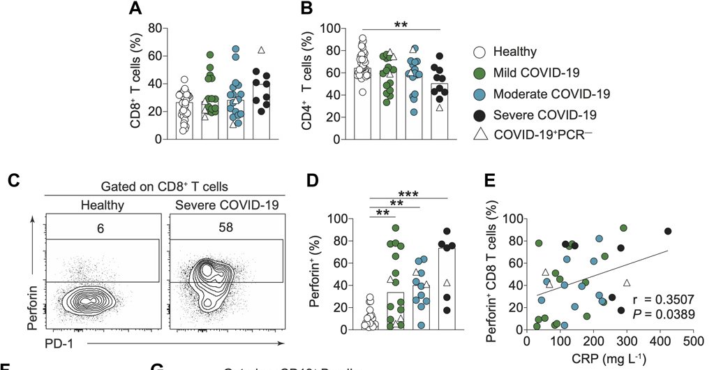 mmw_lmw's tweet photo. Longitudinal #Immune_Profiling associated with #COVID19 | reveals key #MyeloidSignatures | Altered T and B cell phenotypes | Tracy Hussell @OfficialUoM @SciImmunology https://t.co/WQgtT8ryBc https://t.co/hSz8Clx9eB