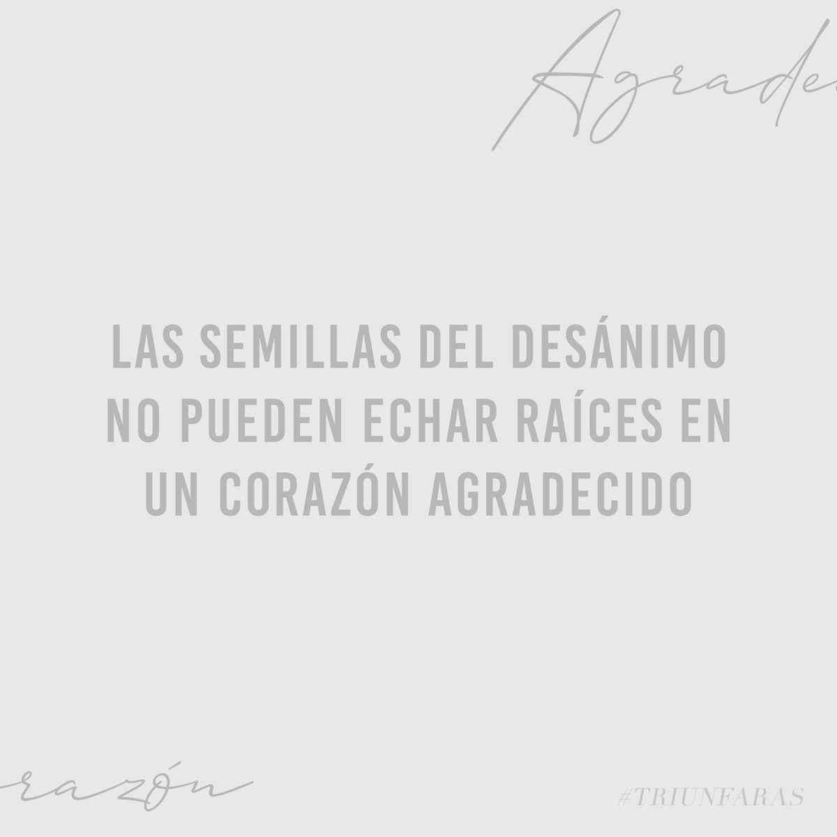 "Las semillas del desánimo no pueden echar raíces en un corazón agradecido" — ¿De qué estás agradecido? 👇🏼
.
.
#Triunfaras