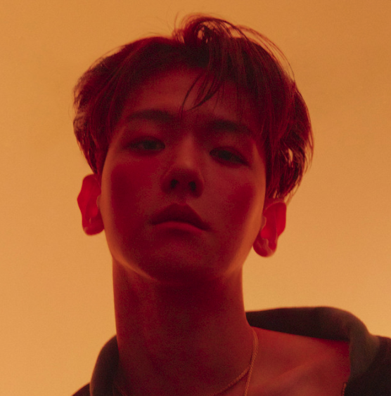 baekhyun. "his neck is stretched and dappled golden in the sunlight that reaches through the screen. he looks jeweled and saturated, a real vermeer-boy."