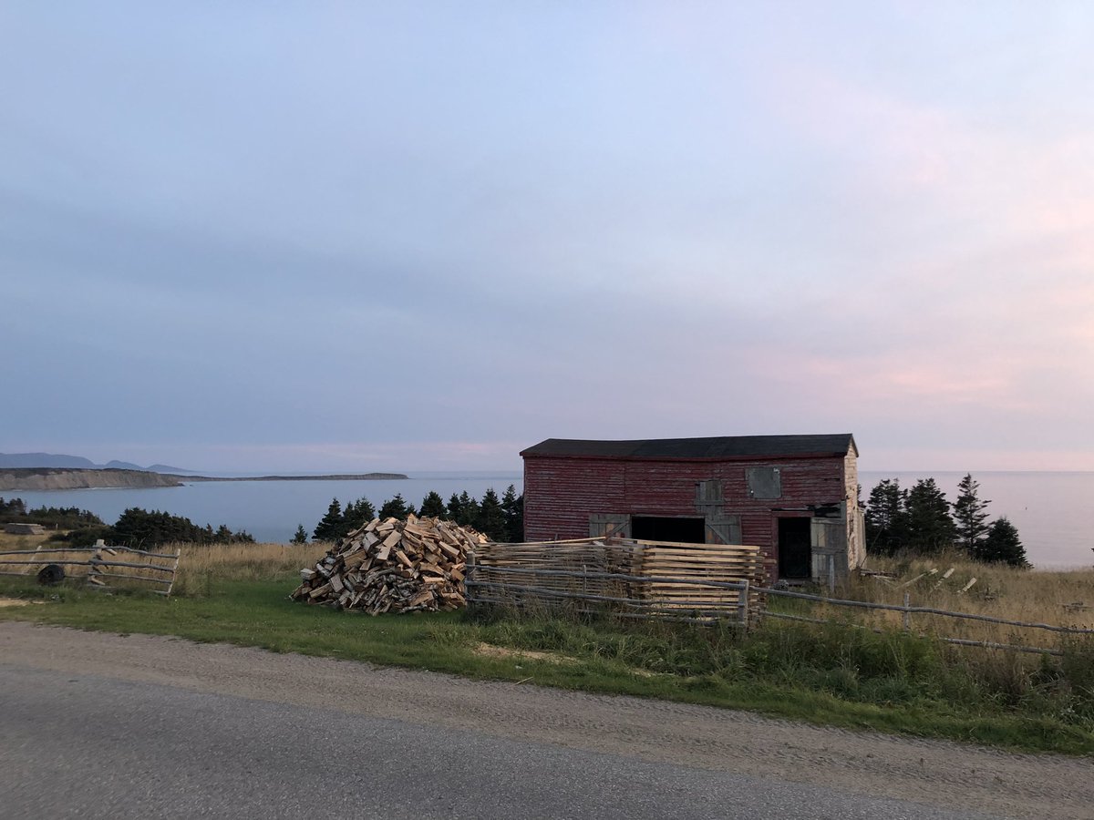 Evening walk in Codroy.