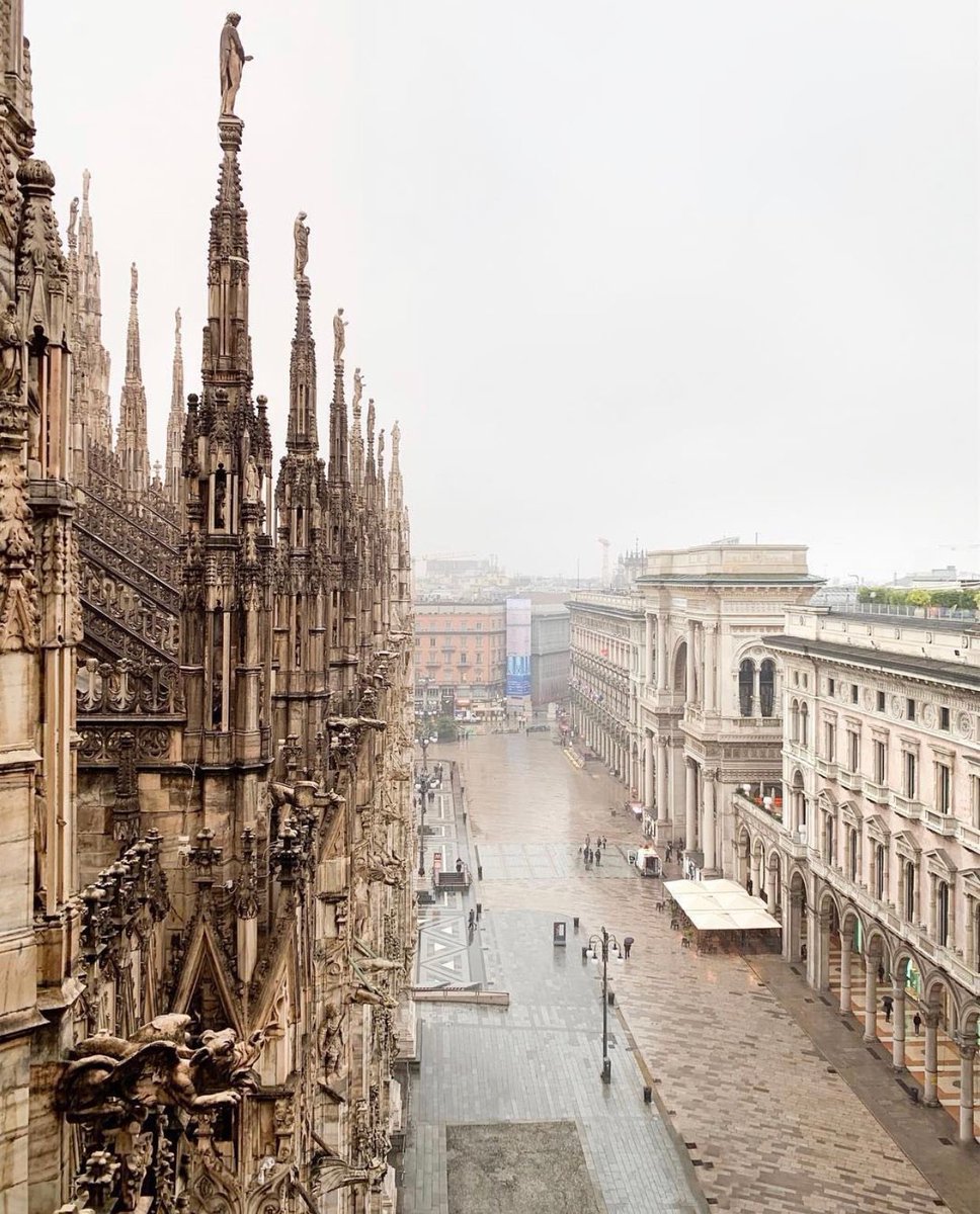 تغذية بصرية 🌎 tweet media