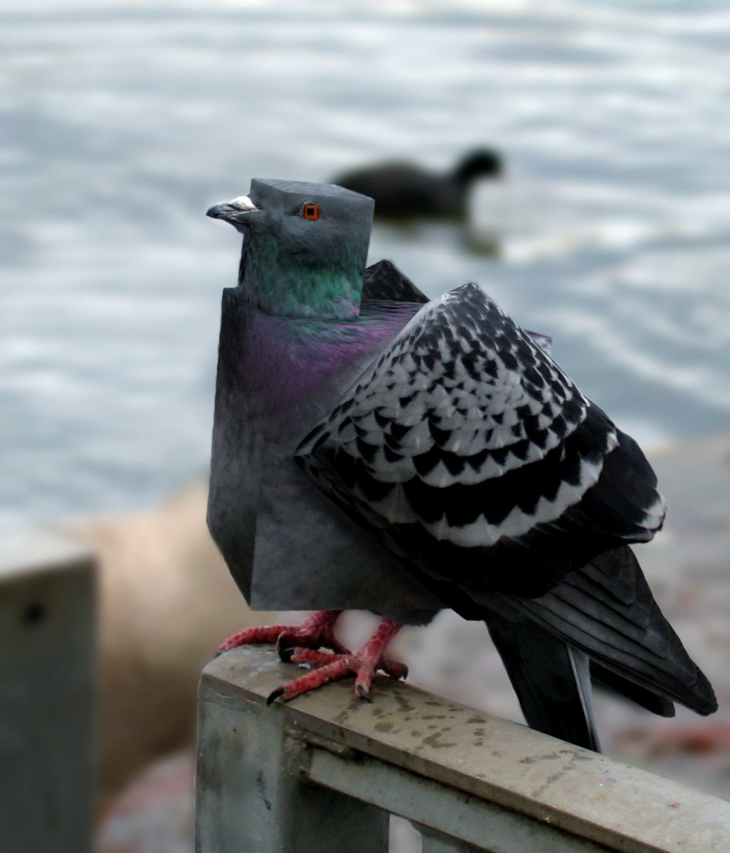 alan1945 tweet media