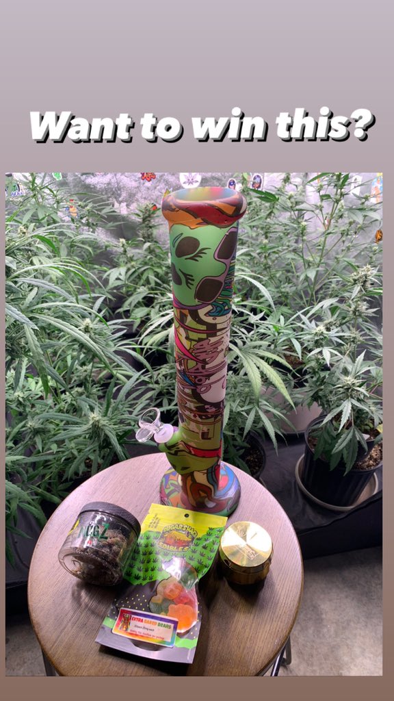 CbTreee's tweet image. 👑GIVEAWAY TIME👑 Check out my Instagram!!! 
#Giveaway #cannabis #fun #MondayMotivation