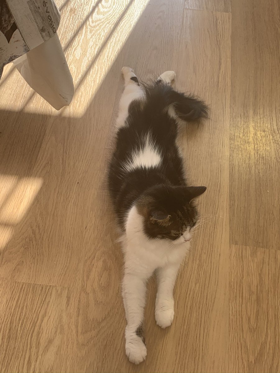 My long babie