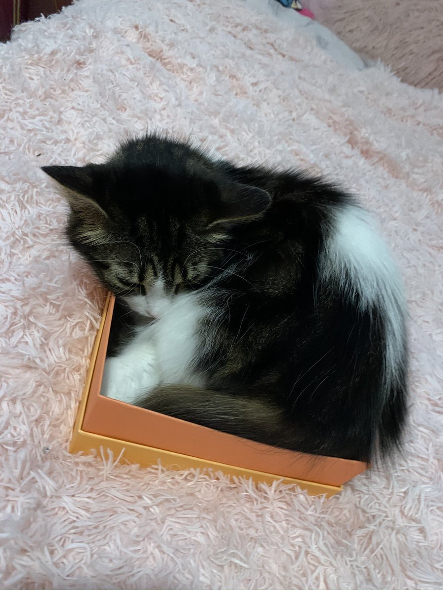 She’s a huge fan of my  @lookfantastic beauty boxes each month too