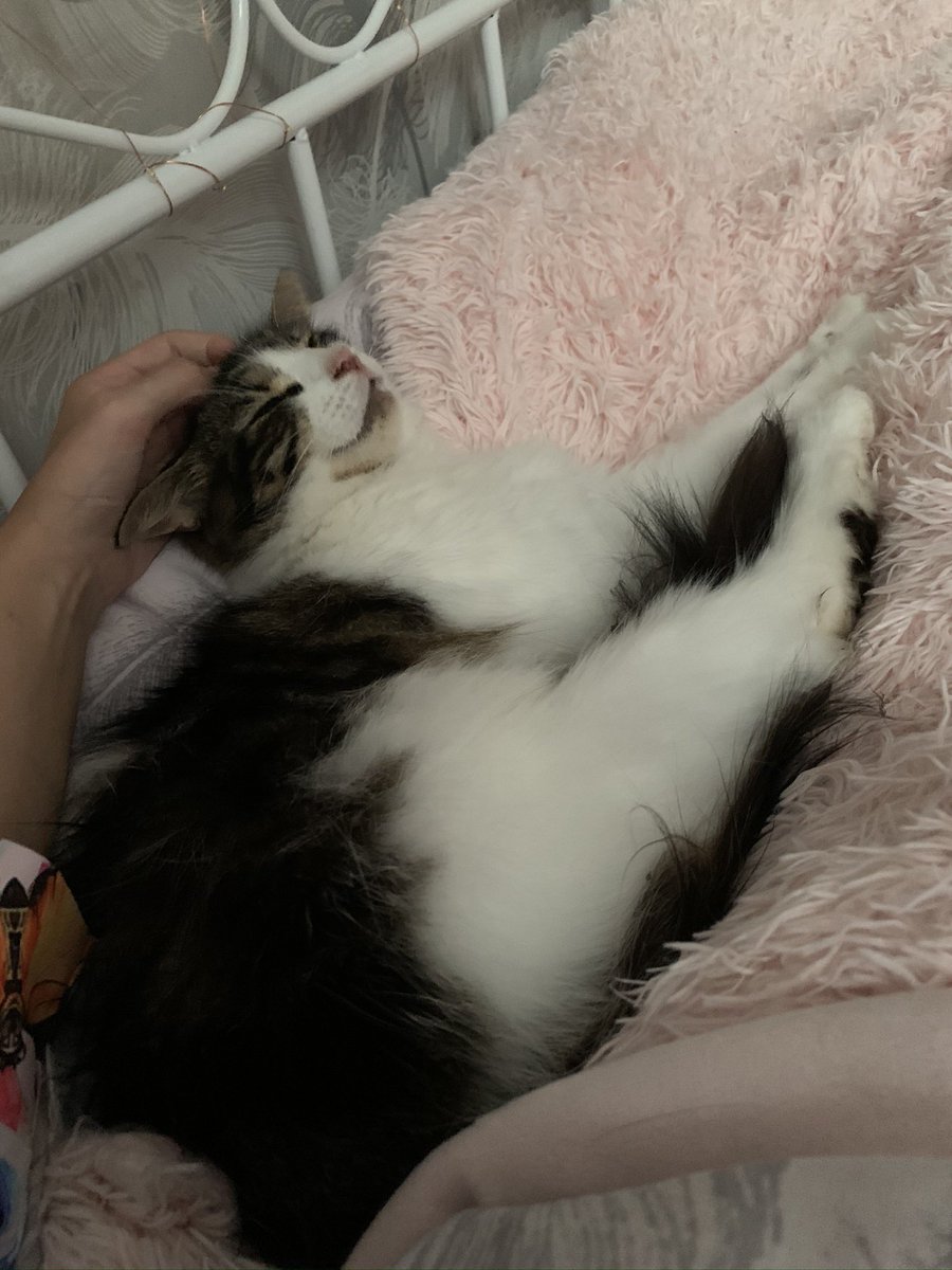 My happy babie