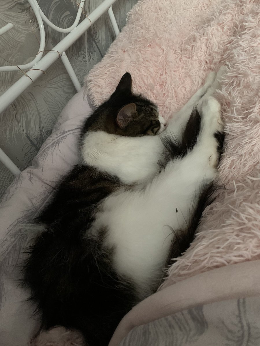 My happy babie