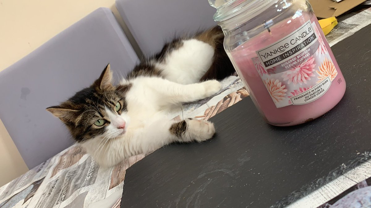 She likes sitting both on and under the table