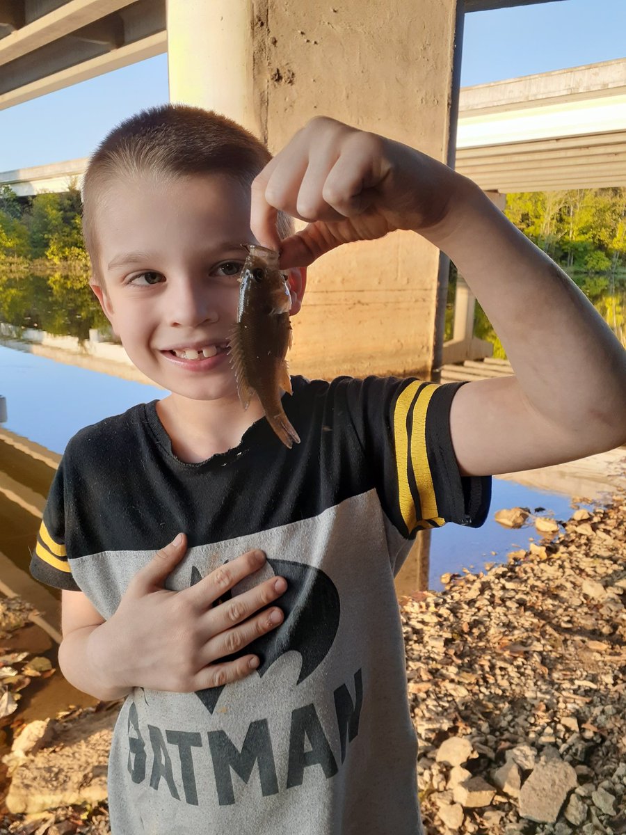 tn_crawford's tweet photo. I had 30 mins before dark, so I took my boy out for a bit after work. Nothing big, but any time I can spend with my son, I'll always take that opportunity.
#fishing #percypriest #takeakidfishing #guytime #fishingbuddies https://t.co/i7tTHtVRTe