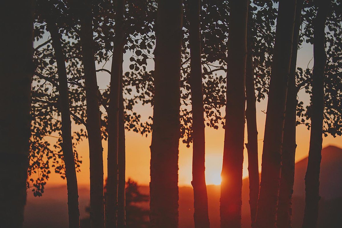 NAU's tweet photo. Here’s to the last sunset of summer in Lumberjack Country ☀️ https://t.co/ekPOcyZXbV