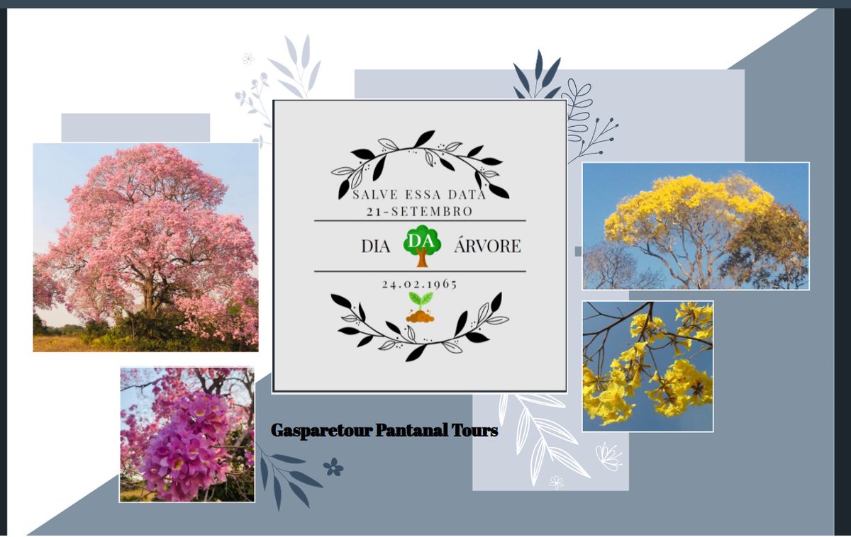 decreto desde 24-02-1965 Dia da Árvore