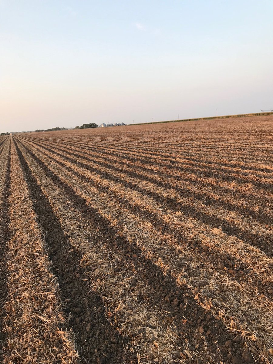 JK_Farms's tweet photo. All ready for #plant21 in about 7 months from now https://t.co/H0djnj7Q8L