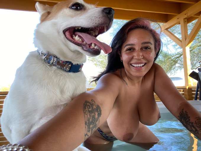 OK GUYS HEAR ME OUT  Onlyfans but it&rsquo;s photos of my dog living her best life .. ☀️ https://t.co/isoH