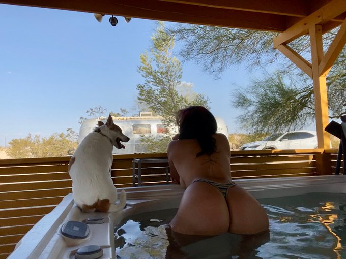 OK GUYS HEAR ME OUT  Onlyfans but it&rsquo;s photos of my dog living her best life .. ☀️ https://t.co/isoH